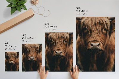 Art print Animal portrait fur rustic atmosphere detail