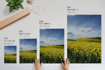 Premium wall art Yellow fields contrasting with the blue sky