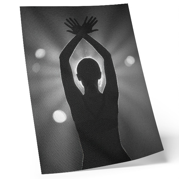 Decorative poster A strong silhouette against the rays of light