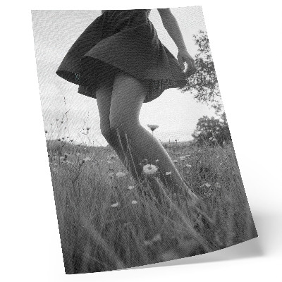 Poster A black and white photograph of a meadow full of harmony and peace.