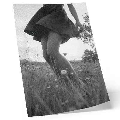 Poster a black and white photograph of a peaceful meadow