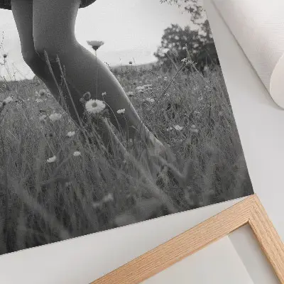 Poster a black and white photograph of a peaceful meadow