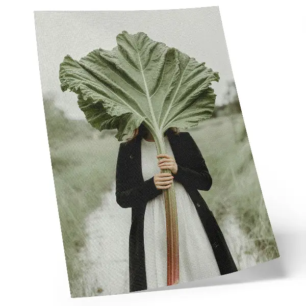 Premium wall art the mystery of nature featuring leaf and figure