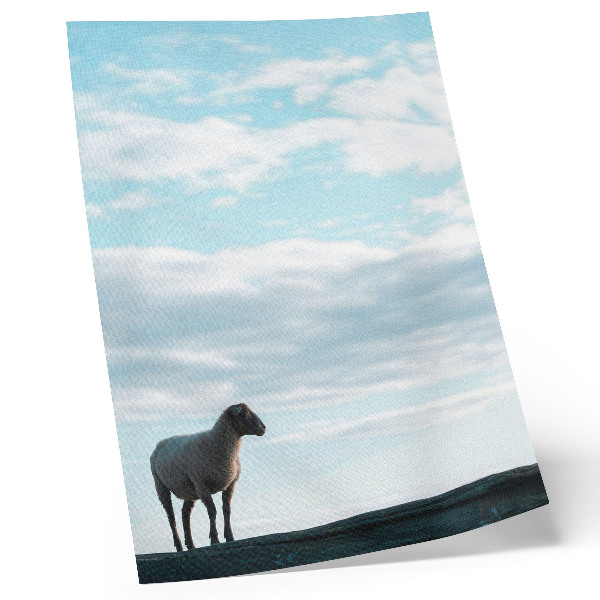 Decorative poster Sky clouds sheep deep silence peace