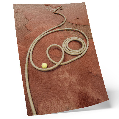 Decorative poster Intense red ball contrast garden hose