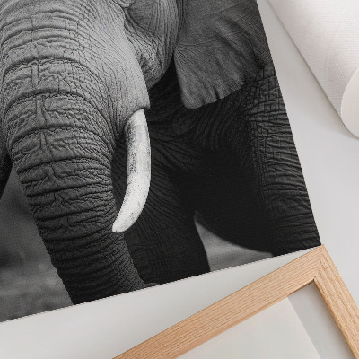 Art print A close-up of an elephant full of peace and strength