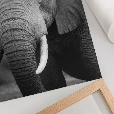 Elephant Art Print a close-up portrait of an elephant embodying peace and strength