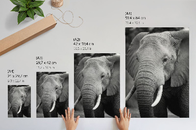 Art print A close-up of an elephant full of peace and strength