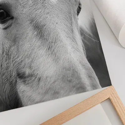 Art print featuring a close up of a horse eye in black and white