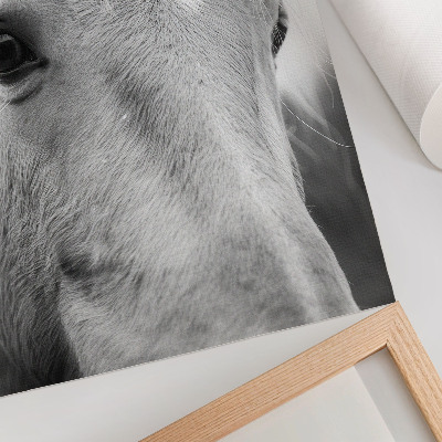 Art print Horse Eye Black and White Elegance