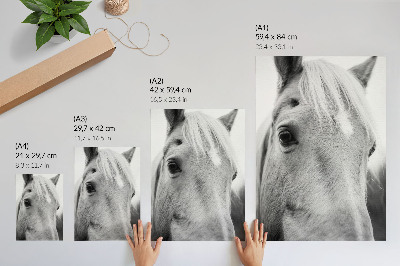 Art print Horse Eye Black and White Elegance