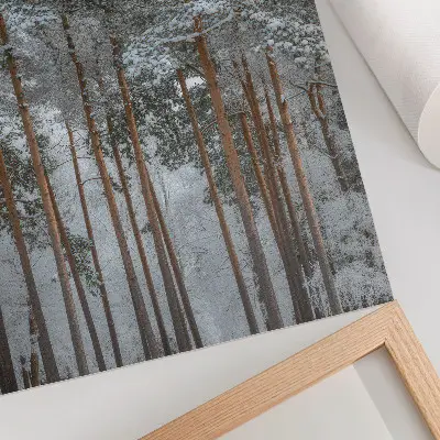 Art print featuring a peaceful snowy winter forest with pine trees