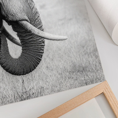 Decorative poster Portrait of an elephant in black and white