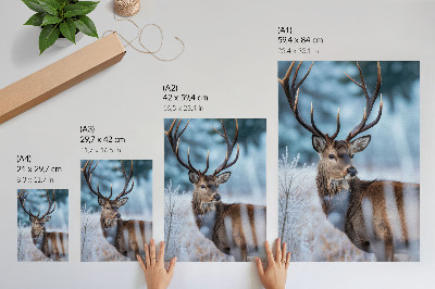 Decorative poster The beauty of nature, winter landscape, majestic deer
