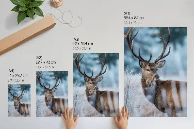 Decorative poster the beauty of nature with a majestic winter landscape and deer