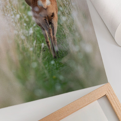 Poster Roe deer in the background of nature harmony and peace of nature