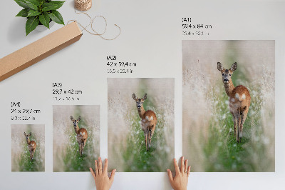 Poster Roe deer in the background of nature harmony and peace of nature