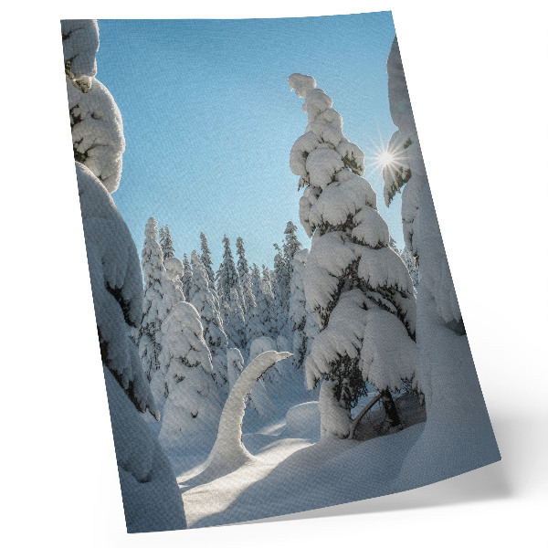 Art print Snow-covered trees, blue sky, sunshine