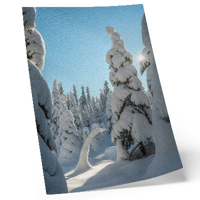 Art print Snow-covered trees, blue sky, sunshine