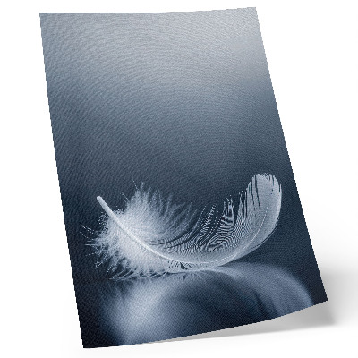 Poster White feather on a gray background, peace and harmony