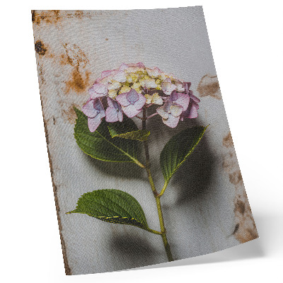 Decorative poster Pink hydrangea green leaves rustic background
