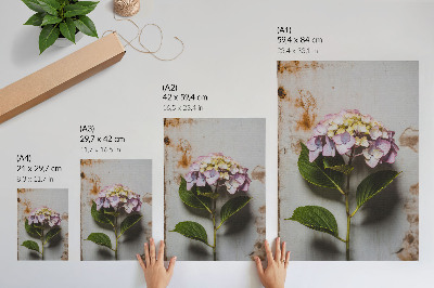 Decorative poster Pink hydrangea green leaves rustic background