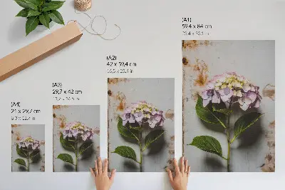 Decorative poster pink hydrangea with green leaves on a rustic background