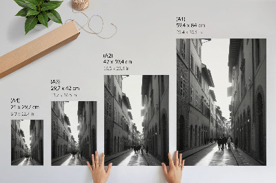 Decorative poster The monochromatic charm of a historic street