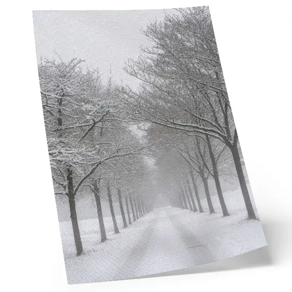 Poster symmetrical avenue of winter trees in the snow and fog