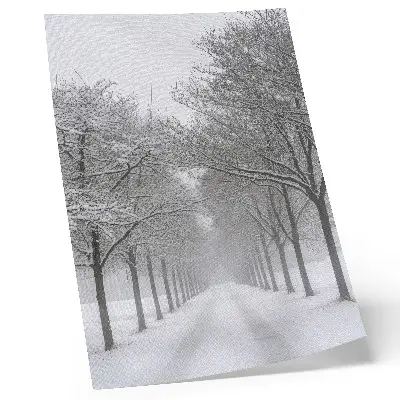 Poster symmetrical avenue of winter trees in the snow and fog