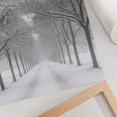 Poster symmetrical avenue of winter trees in the snow and fog