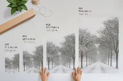 Poster symmetrical avenue of winter trees in the snow and fog