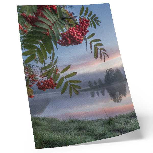 Art print Lake in the morning rowan delicate fog nature