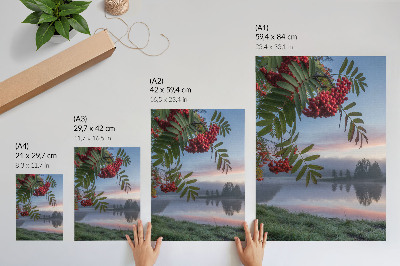 Art print Lake in the morning rowan delicate fog nature