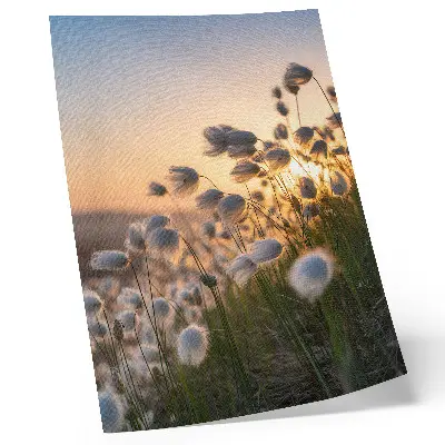 Premium wall art featuring grasses at sunset in warm natural colors