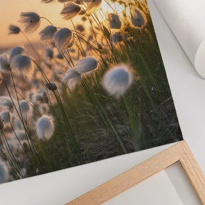 Premium wall art featuring grasses at sunset in warm natural colors