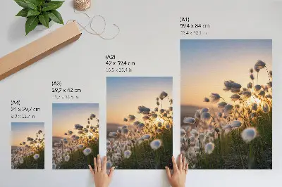 Premium wall art featuring grasses at sunset in warm natural colors