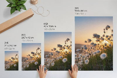 Premium wall art Grasses at sunset, warm colors, naturalness