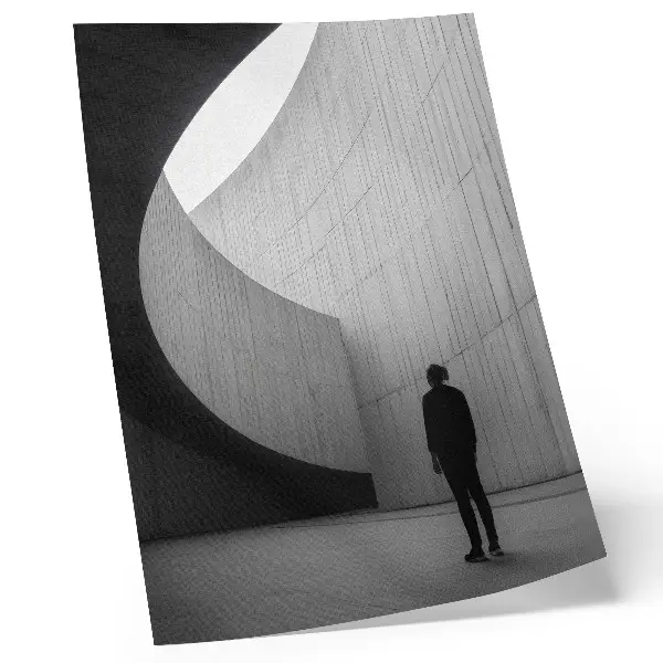 Premium wall art curved architecture in monochromatic tones