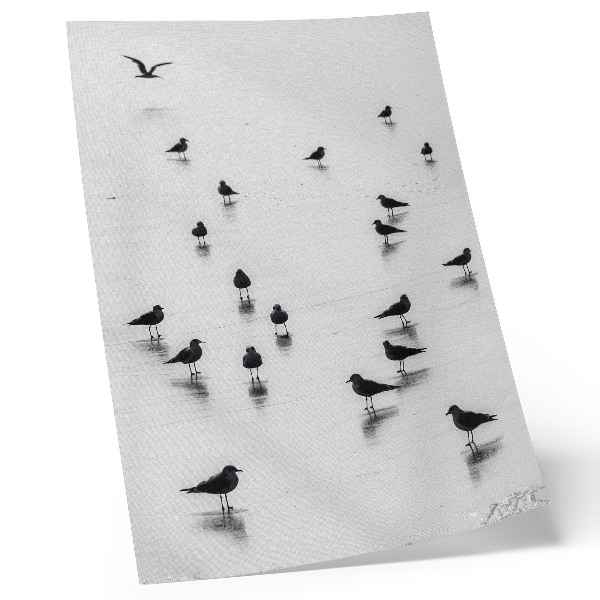 Poster Birds over water subtle reflections minimalism