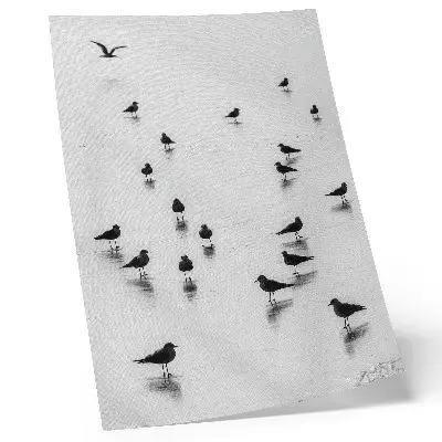 Poster birds over water featuring minimalist subtle reflections