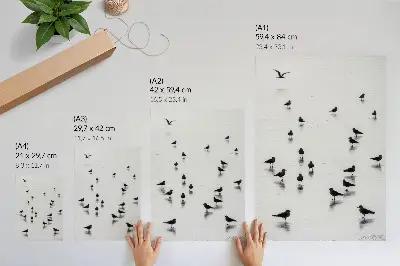 Poster birds over water featuring minimalist subtle reflections