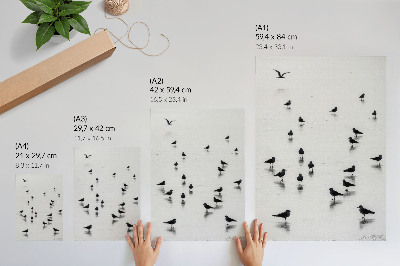 Poster Birds over water subtle reflections minimalism