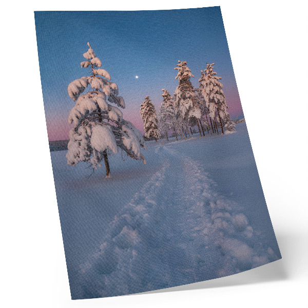 Art print Winter scenery with snow-covered trees and the moon
