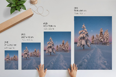 Art print Winter scenery with snow-covered trees and the moon