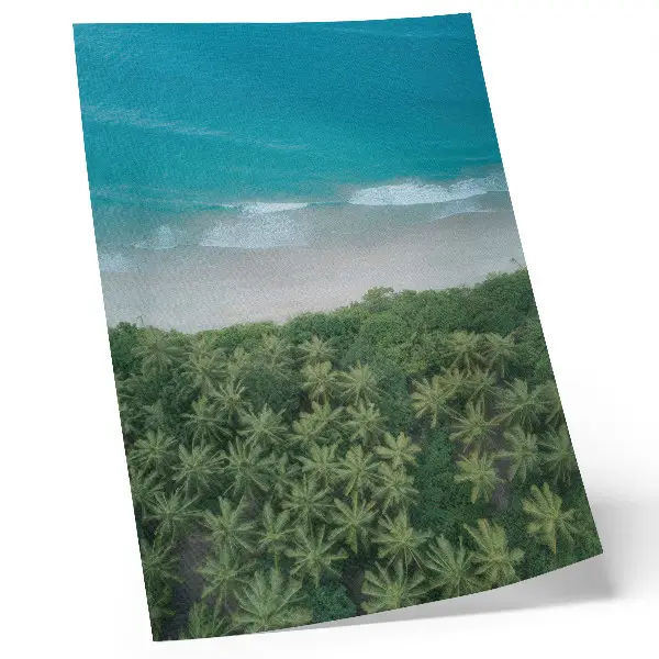 Premium wall art featuring a peaceful beach scene with turquoise waves and palm trees