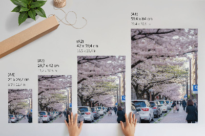 Art print A street with cherry blossoms and parked cars