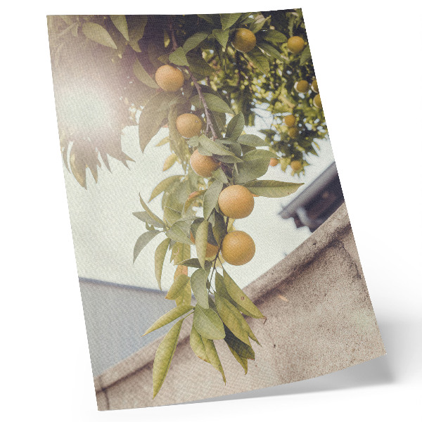 Decorative poster Tree branch sun green leaves orange