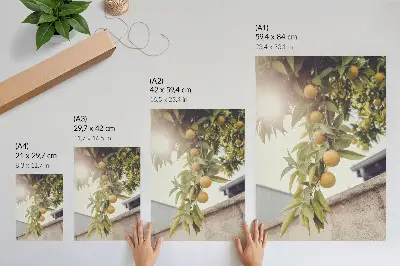 Decorative poster featuring a sunlit tree branch with green leaves and orange accents