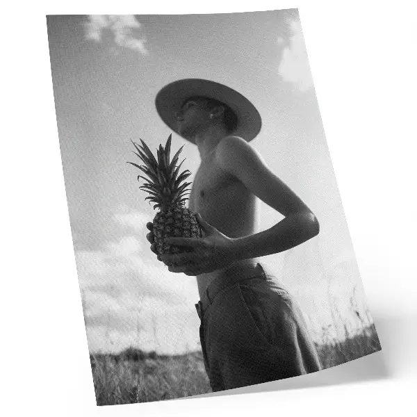 Monochrome figure in a pineapple field poster monochrome figure in a pineapple field